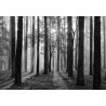 Fototapeta Wschód Słońca W Czerni I Bieli