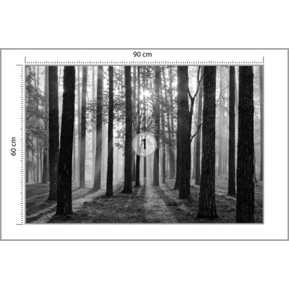Fototapeta Wschód Słońca W Czerni I Bieli