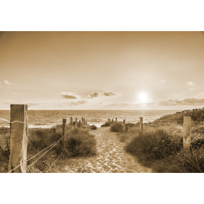 Fototapeta Sepia Letniego Zachodu Słońca