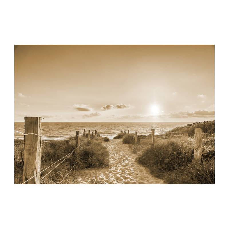 Fototapeta Sepia Letniego Zachodu Słońca