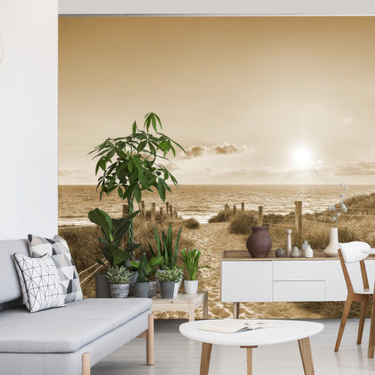 Fototapeta Sepia Letniego Zachodu Słońca