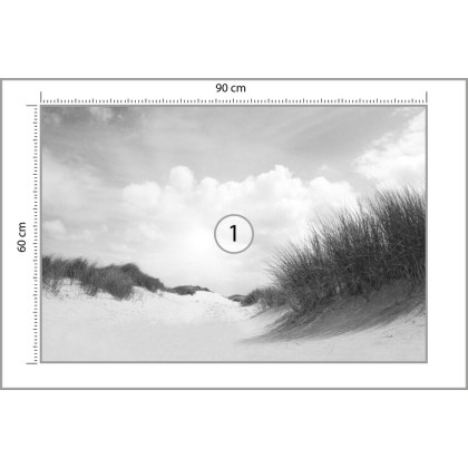 Fototapeta Piaszczyste Dni W Czerni I Bieli