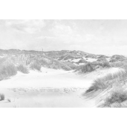 Fototapeta Dune Paradise Faded Vintage W Czerni I Bieli