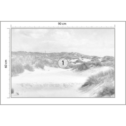 Fototapeta Dune Paradise Faded Vintage W Czerni I Bieli