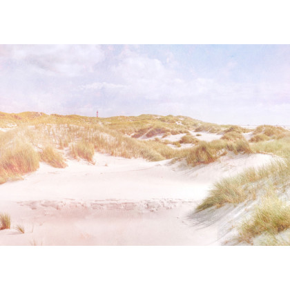 Fototapeta Dune Paradise Wyblakły Vintage