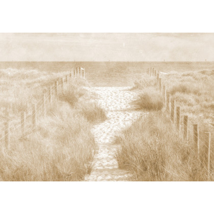 Fototapeta Chodźmy Na Plażę Faded Vintage Sepia