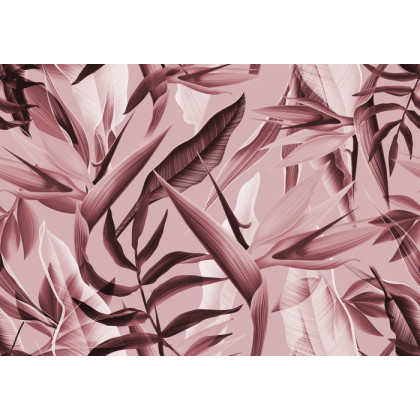 Fototapeta Tropicalia Różowy