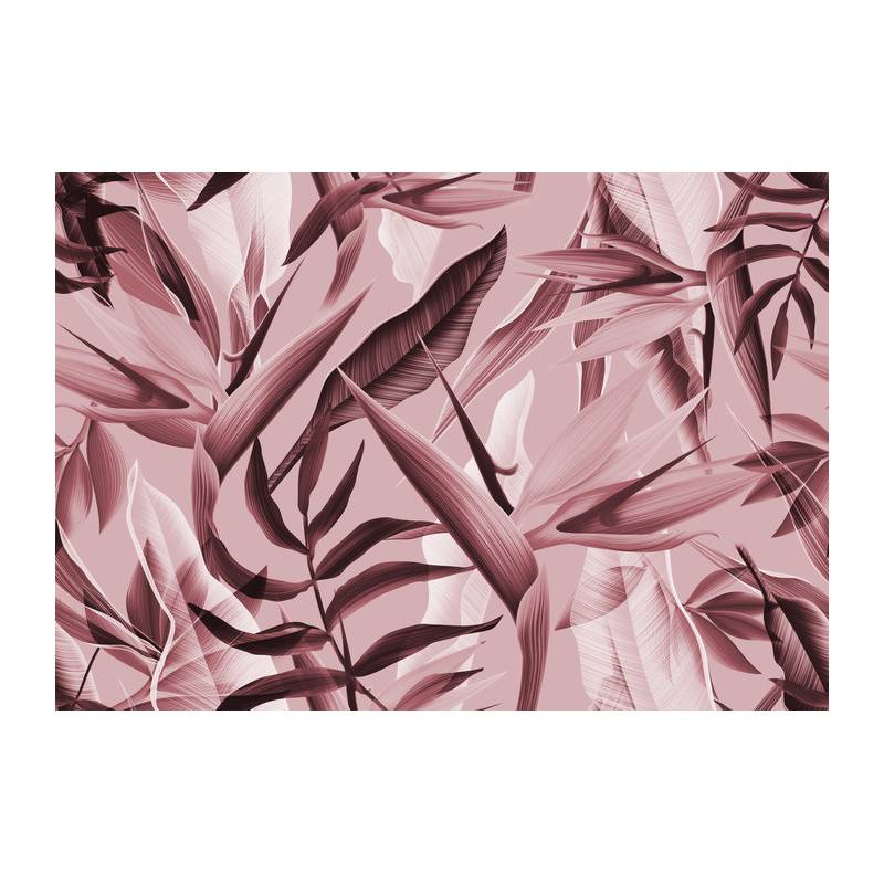 Fototapeta Tropicalia Różowy