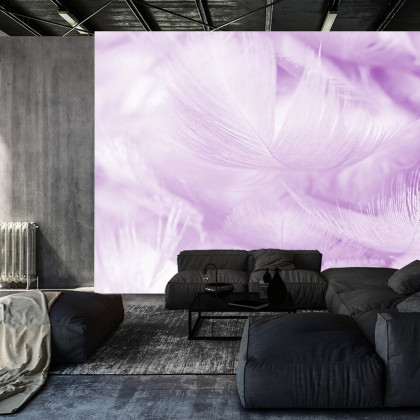 Fototapeta Pióra W Kolorze Fioletowym