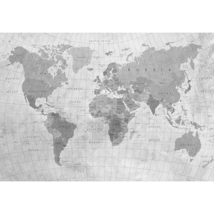 Fototapeta Mapa Świata Teksturowanej Monochromatyczne