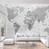 Fototapeta Mapa Świata Teksturowanej Monochromatyczne