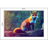 Fototapeta Fox Sitting In The Woods With Weird Eyes