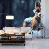 Fototapeta Red Fox In The Snow