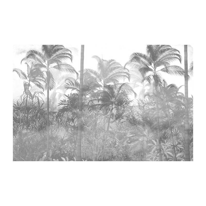 Fototapeta Tropical Trees And Leaves In Foggy Forest Wallpaper Design - 3D