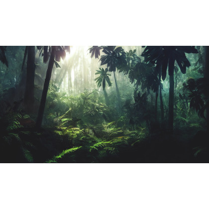 Fototapeta Dark Rainforest, Sun Rays Through The Trees, Rich Jungle Greenery. Atmospheric Fantasy Forest. 3D .
