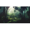 Fototapeta Dark Rainforest, Sun Rays Through The Trees, Rich Jungle Greenery. Atmospheric Fantasy Forest. 3D .