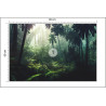 Fototapeta Dark Rainforest, Sun Rays Through The Trees, Rich Jungle Greenery. Atmospheric Fantasy Forest. 3D .