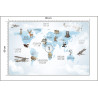 Fototapeta Animals World Map For Kids Wallpaper Design
