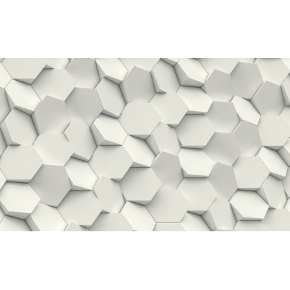 Fototapeta Hexag