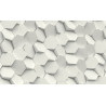 Fototapeta Hexag
