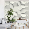 Fototapeta Hexag