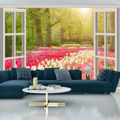 Fototapeta Window With Beautiful Spring Tulips Flowers Garden In Netherlands.