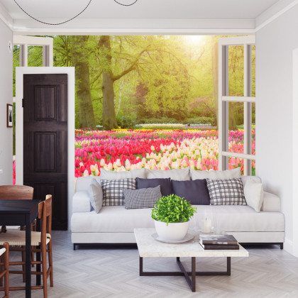 Fototapeta Window With Beautiful Spring Tulips Flowers Garden In Netherlands.