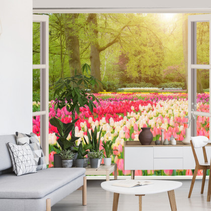 Fototapeta Window With Beautiful Spring Tulips Flowers Garden In Netherlands.
