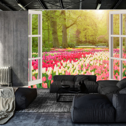 Fototapeta Window With Beautiful Spring Tulips Flowers Garden In Netherlands.