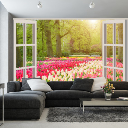 Fototapeta Window With Beautiful Spring Tulips Flowers Garden In Netherlands.