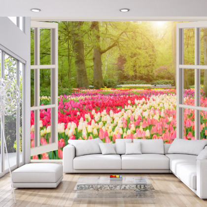 Fototapeta Window With Beautiful Spring Tulips Flowers Garden In Netherlands.