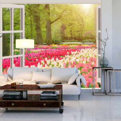 Fototapeta Window With Beautiful Spring Tulips Flowers Garden In Netherlands.