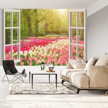 Fototapeta Window With Beautiful Spring Tulips Flowers Garden In Netherlands.