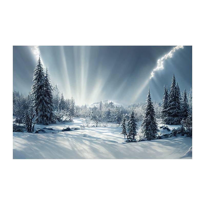 Fototapeta Beautiful Winter Landscape. Majestic White Spruces Glowing By Sunlight. Picturesque And Gorgeous Wintry Scene.