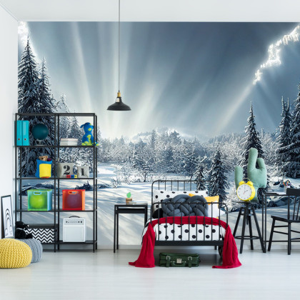 Fototapeta Beautiful Winter Landscape. Majestic White Spruces Glowing By Sunlight. Picturesque And Gorgeous Wintry Scene.