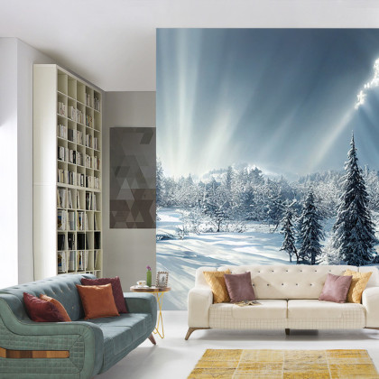Fototapeta Beautiful Winter Landscape. Majestic White Spruces Glowing By Sunlight. Picturesque And Gorgeous Wintry Scene.