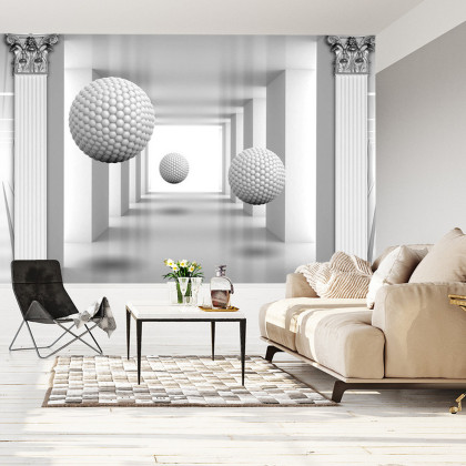 Fototapeta 3D Mural Digital Silver Tunnel With Sphere And Columns .
Modern Rendering Gray Interior Wallpaper