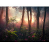 Fototapeta Colorful Sunset Forest Scenery With Beautiful Trees And Plants, Natural Green Environment With Amazing Nature