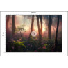 Fototapeta Colorful Sunset Forest Scenery With Beautiful Trees And Plants, Natural Green Environment With Amazing Nature