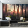 Fototapeta Colorful Sunset Forest Scenery With Beautiful Trees And Plants, Natural Green Environment With Amazing Nature
