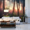 Fototapeta Colorful Sunset Forest Scenery With Beautiful Trees And Plants, Natural Green Environment With Amazing Nature