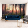 Fototapeta Colorful Sunset Forest Scenery With Beautiful Trees And Plants, Natural Green Environment With Amazing Nature