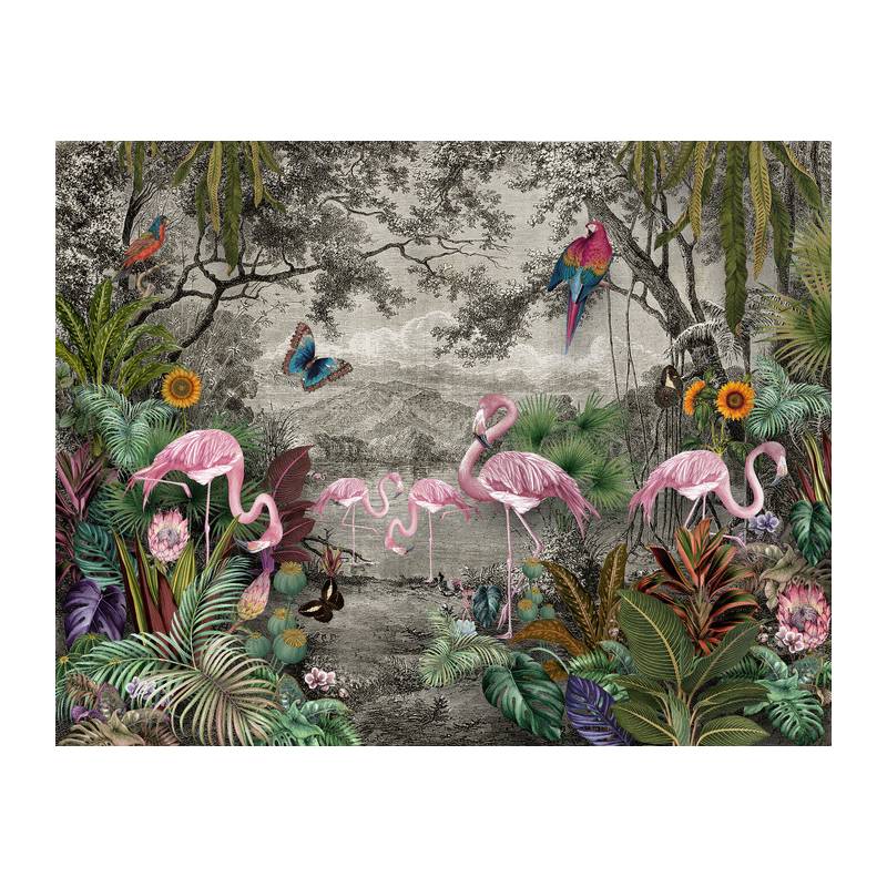 Fototapeta Wallpaper Jungle And Tropical Forest Banana Palm And Tropical Birds, Old Drawing