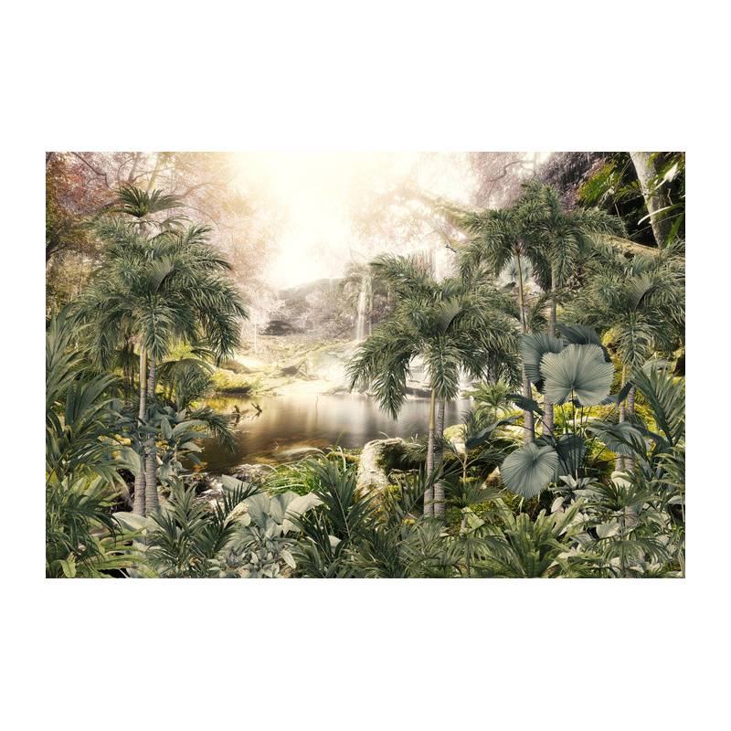 Fototapeta Tropical Trees And Leaves For Digital Printing Wallpaper, Custom Design Wallpaper - 3D