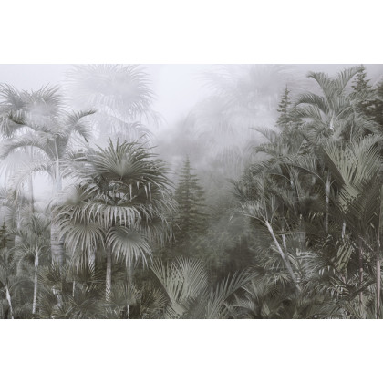 Fototapeta Tropical Trees And Leaves For Digital Printing Wallpaper, Custom Design Wallpaper - 3D