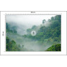 Fototapeta Rainforest Morning Fog