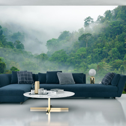 Fototapeta Rainforest Morning Fog