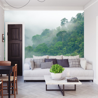 Fototapeta Rainforest Morning Fog