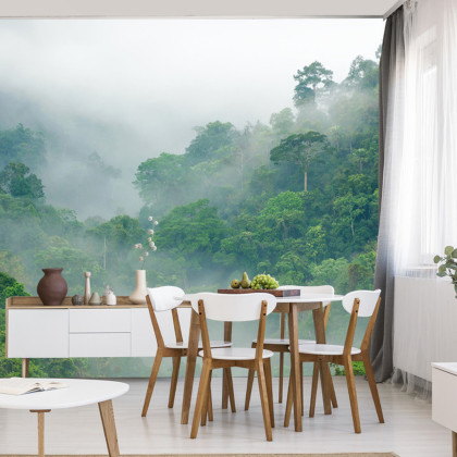 Fototapeta Rainforest Morning Fog