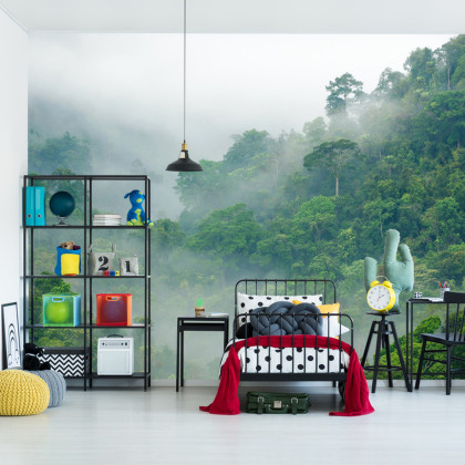 Fototapeta Rainforest Morning Fog